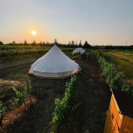 Glamp Mezi Vinicemi