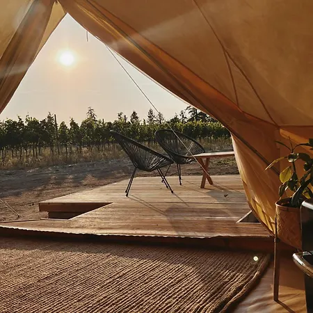 Glamp Mezi Vinicemi Вальтице