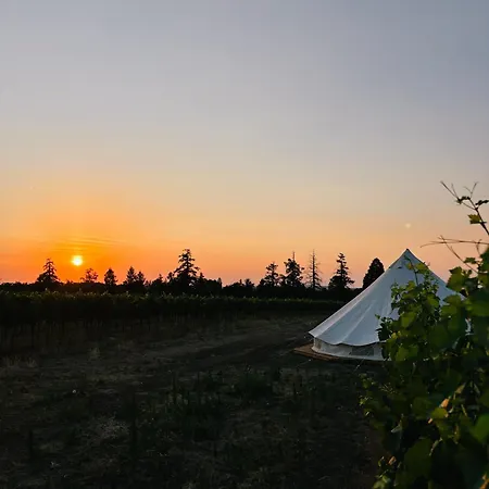 Glamp Mezi Vinicemi *